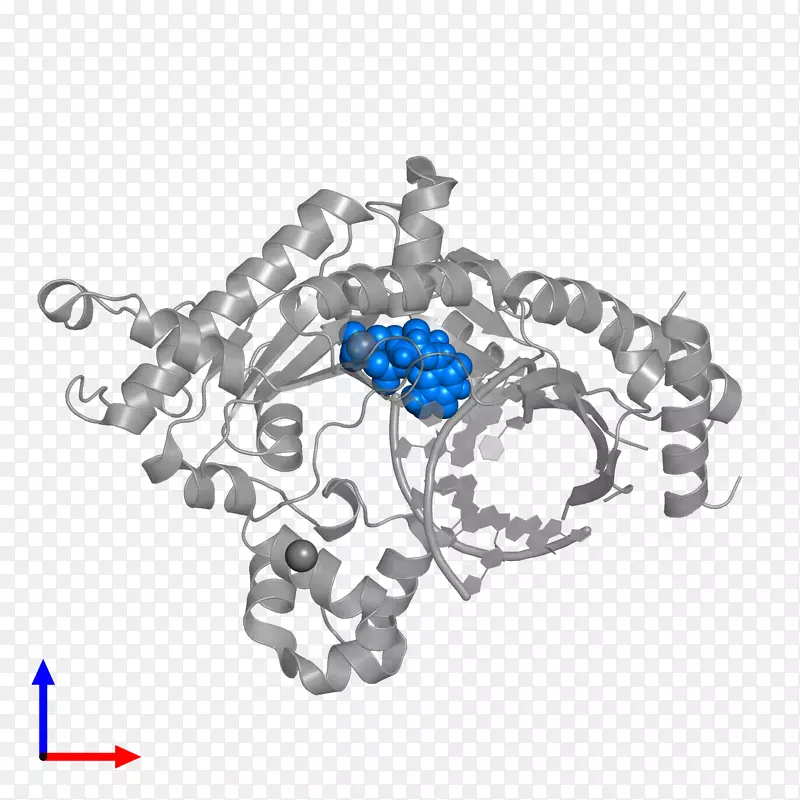 �����鱦����-�鱦-������