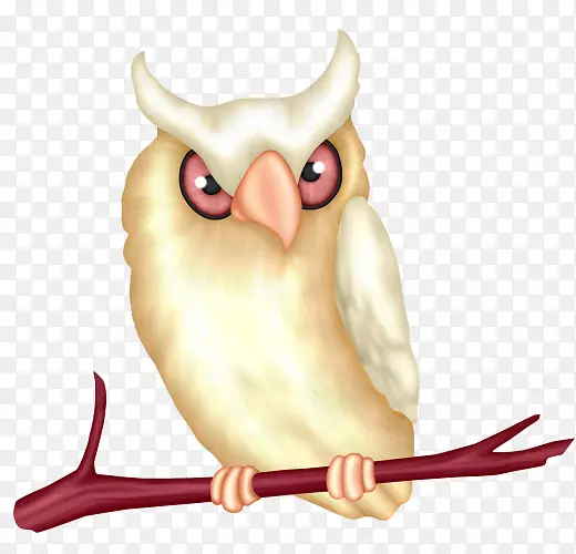 Сèͷӥ��ͨ�ֻ濨ͨèͷӥ-������