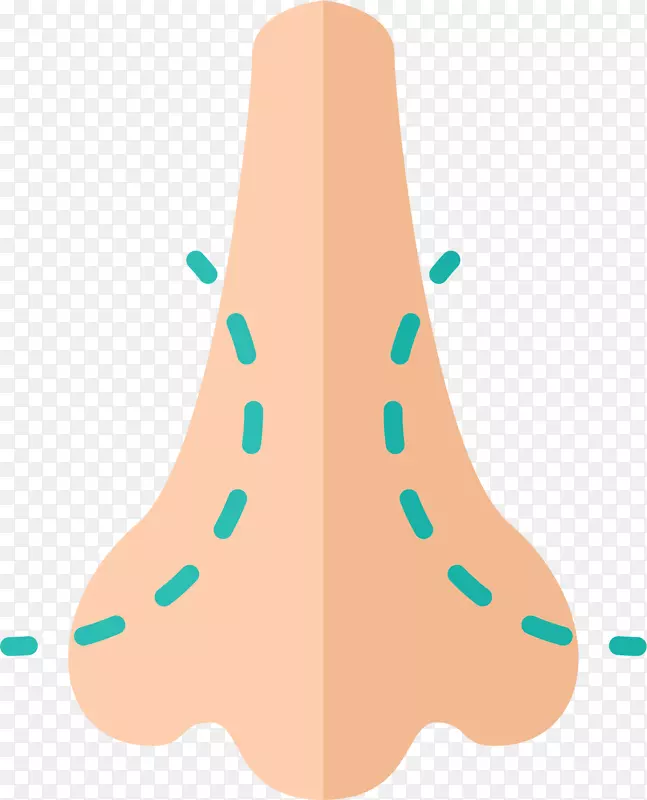 �����������沿-�沿���������ӣ�����-������