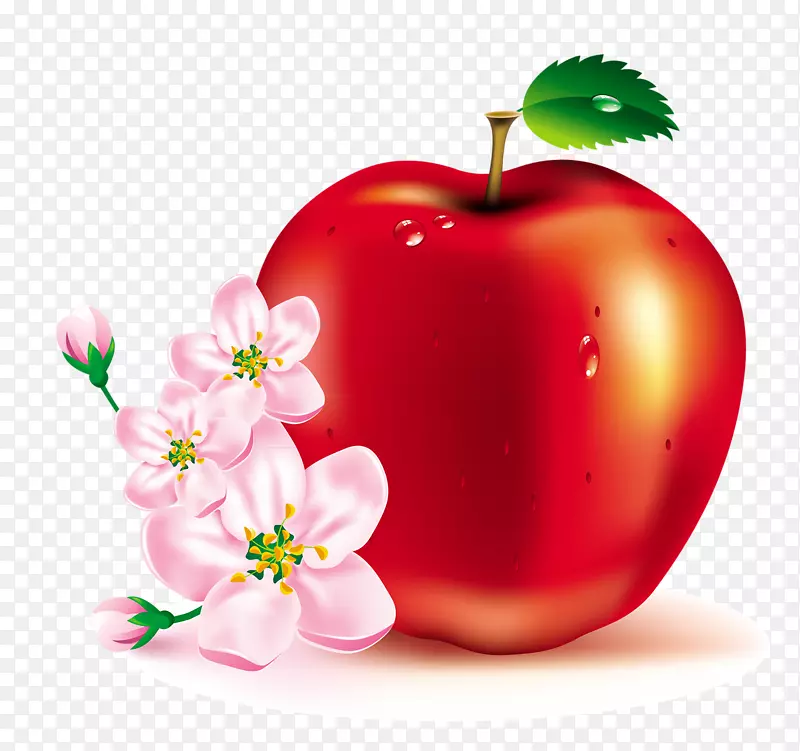 ƻ�������ֽ������-ƻ��-������