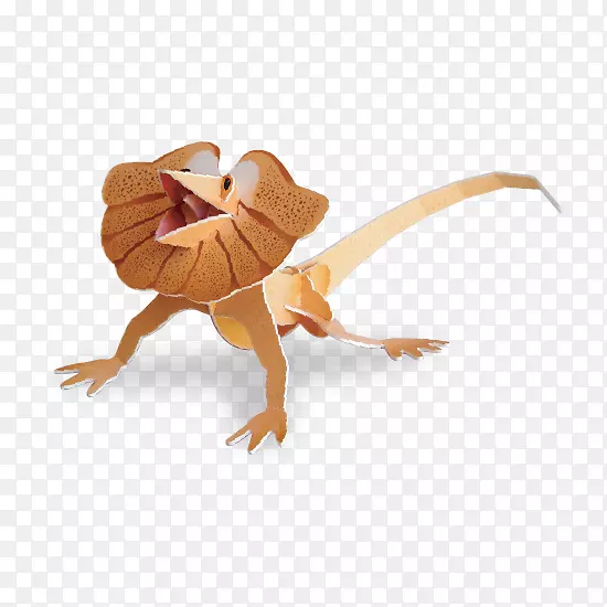 ���徱����Ĵ����Ǿ�����������-������