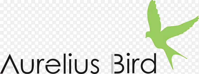 �ձ�Aurelius ag����ƽ��������-���־-������