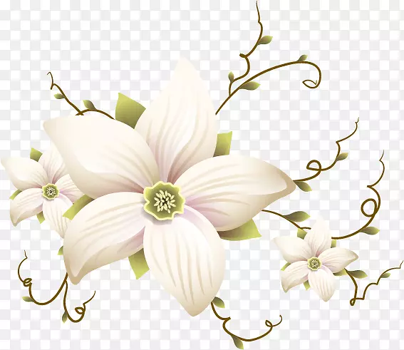 ��������л��������-������