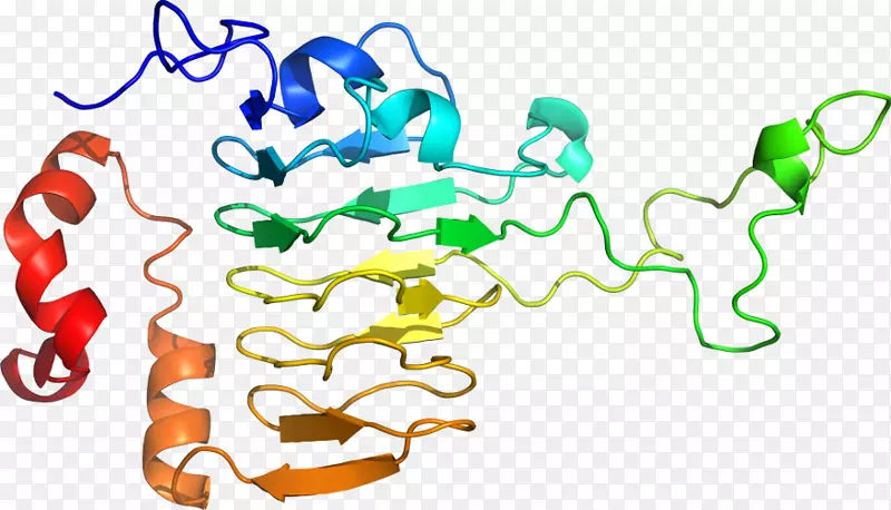 �����߶����������-������