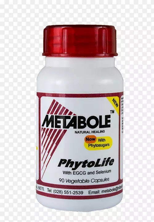 ��ʳ������׻�������-����ϵͳ-������