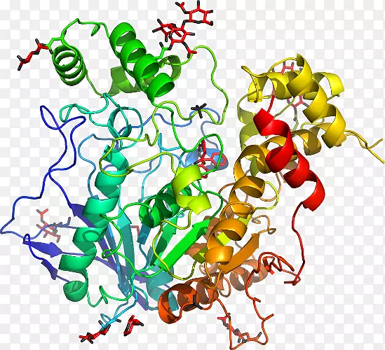 �������߼�������-������