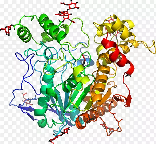 �������߼�������-������