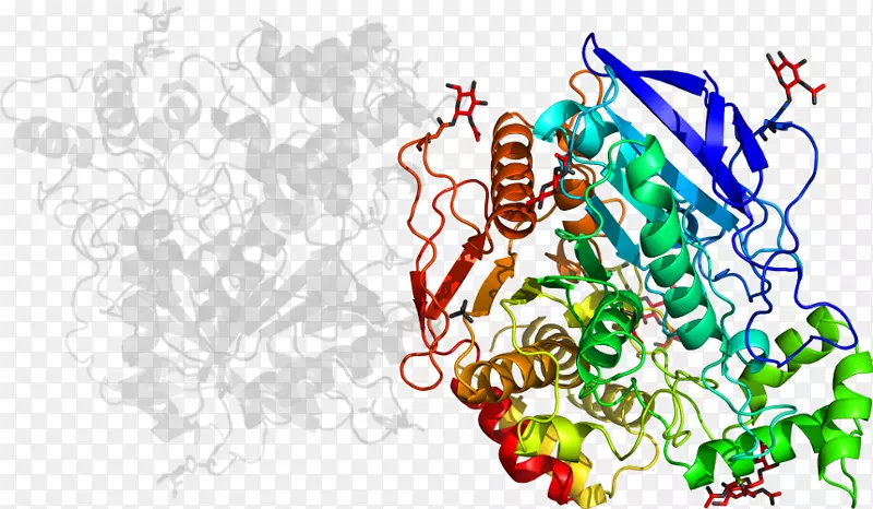 ���߼�����-��-������