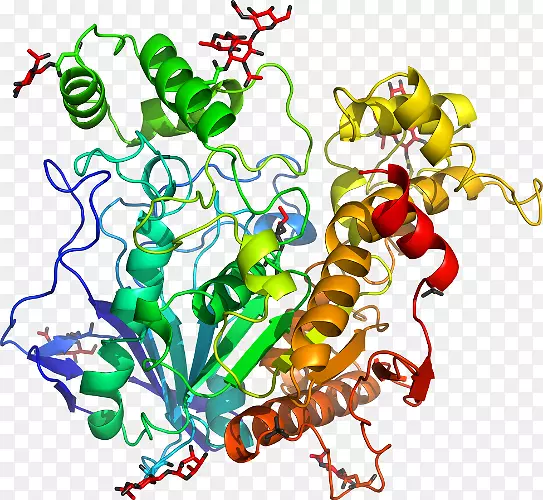 ���߼�����-��-������