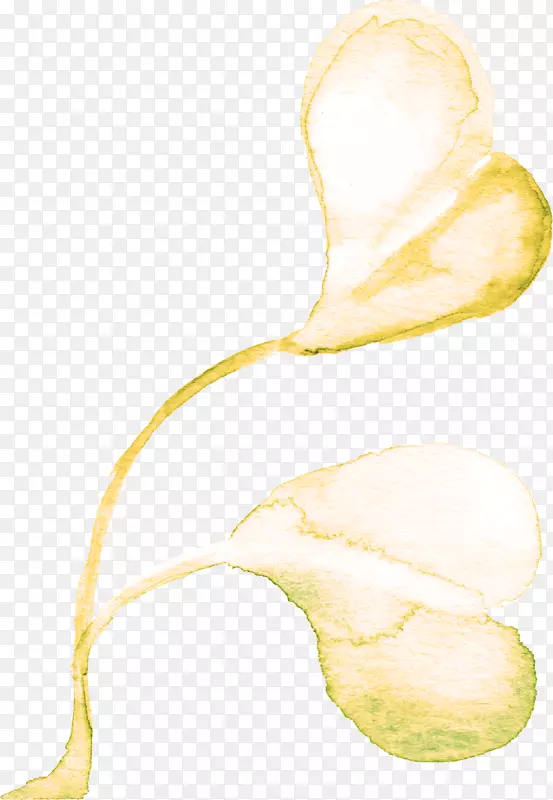 Adobe�廭ֲ��-������