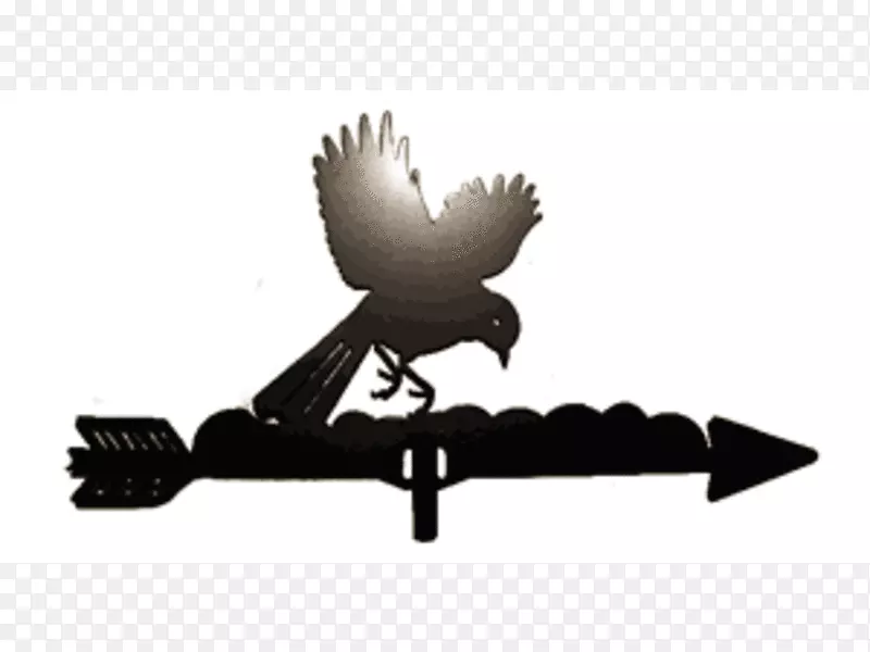 ���-������