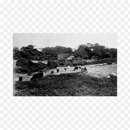 ԰�ְ���-������