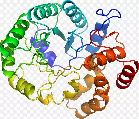 ���������л����߼�������-������