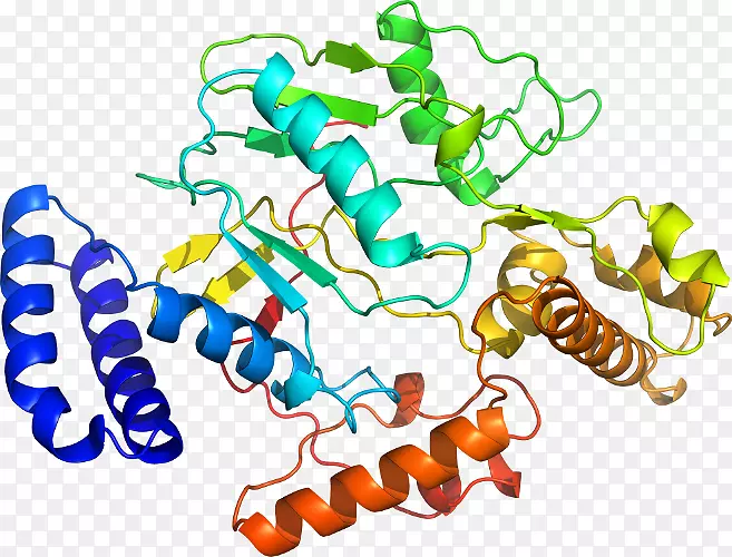 �����߶����������-������