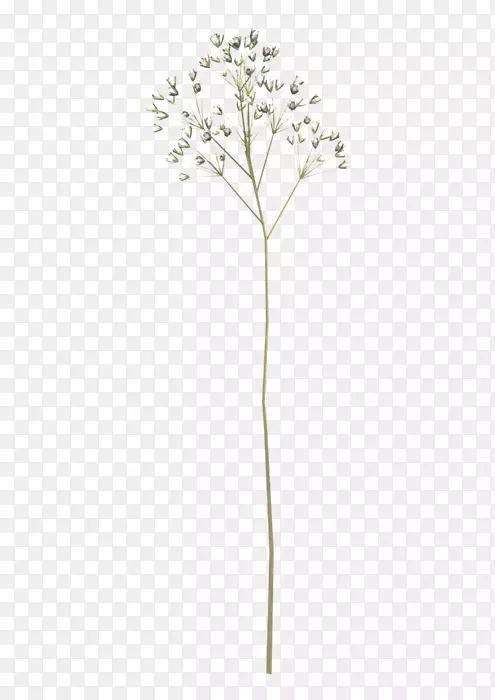 Сֲ֦�ﾥ����ֲ��-��-������