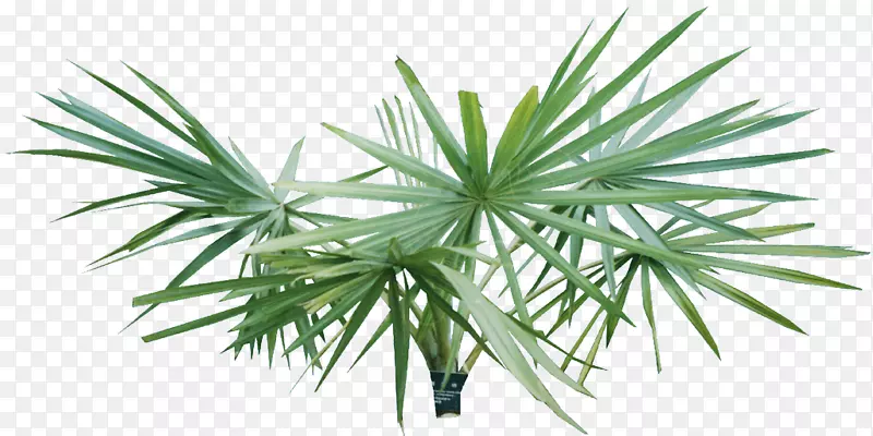 ����������ͼ��-������