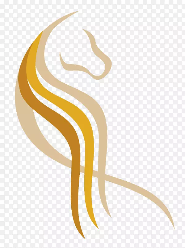 �Ĵ����������ʼҿ�����չʾ�������Ĵ�����-������