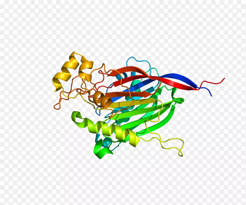 ���������鱦���л����������-������