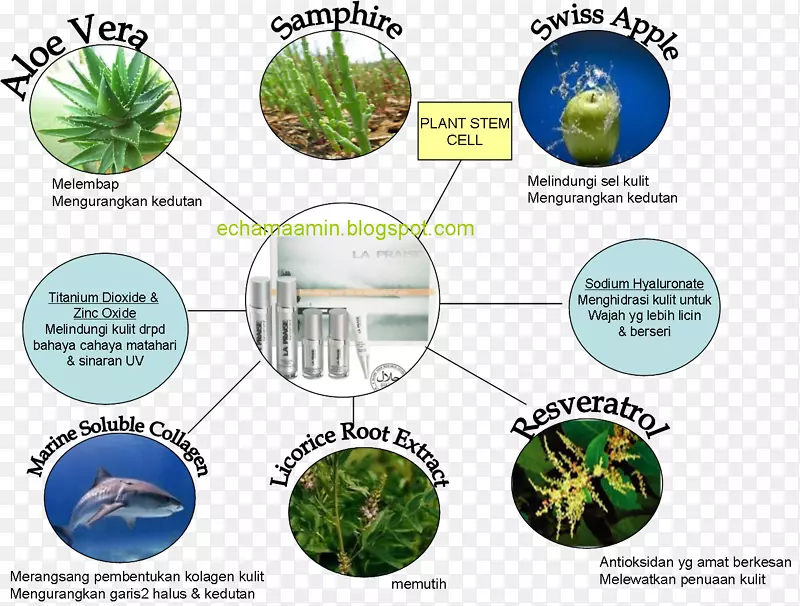 �����Ͳ�ˮ��-������