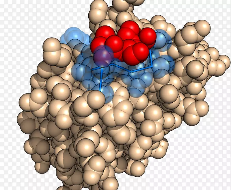 ˮ��-������