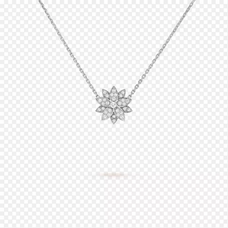 �����͵�׹���������鱦��������-������