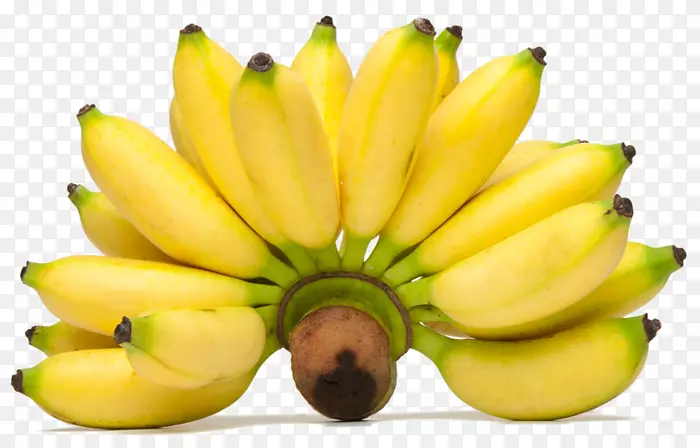 �л�ʳƷŮʿ��ָ�㽶Ƭ-�㽶-������