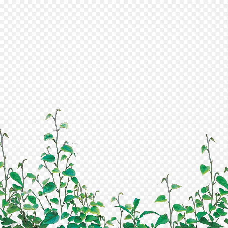 �ٲ�-������