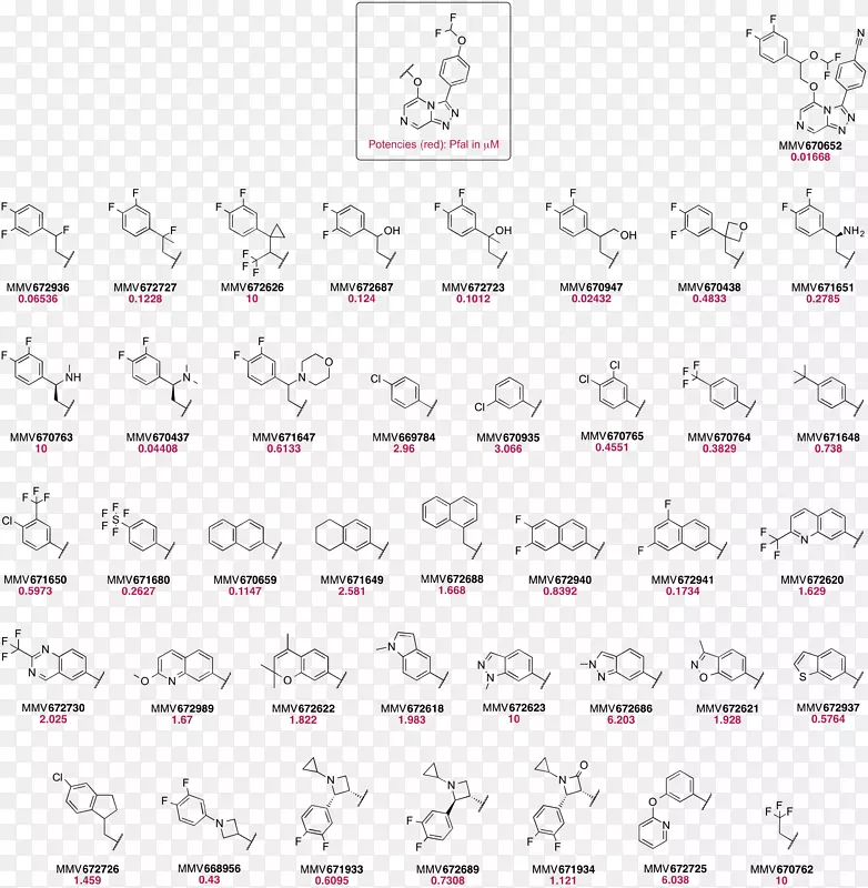 ֽ�ߵ��������-������