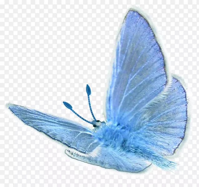 �г��ĺ���-����-������