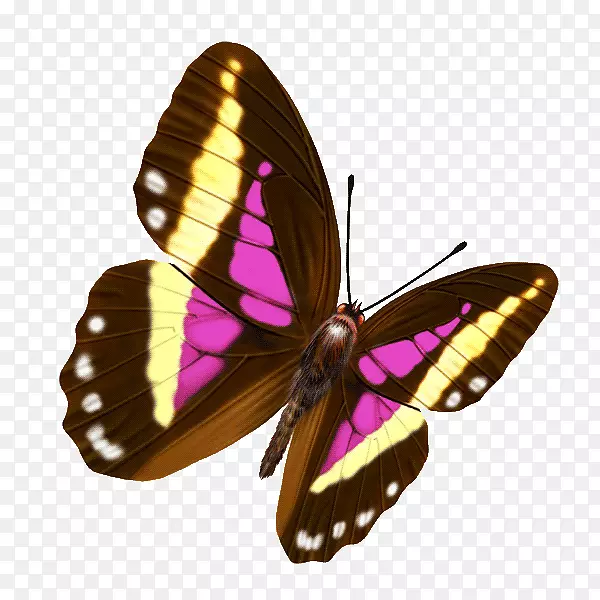 �������˲��Ͳ�ɫ������Ӱ-����-������