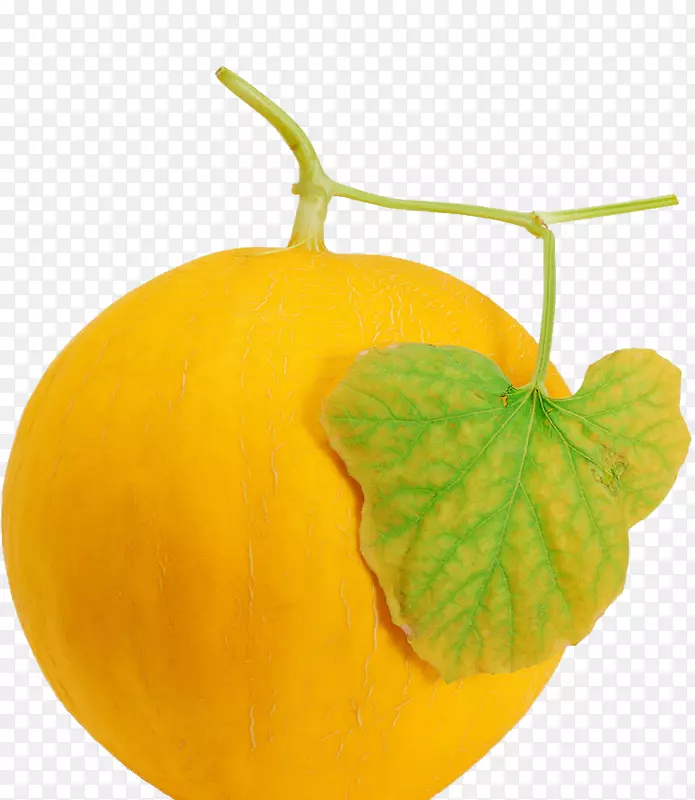 ���ܹ��۹����-������