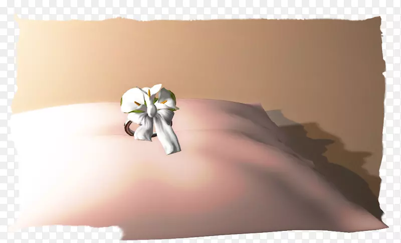 ָ��-������