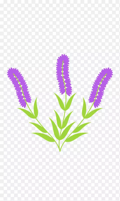 ��������ֲ�ﾥ����ֲ��-��-������