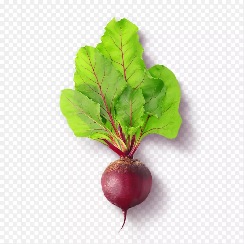 ���ʳƷ-������