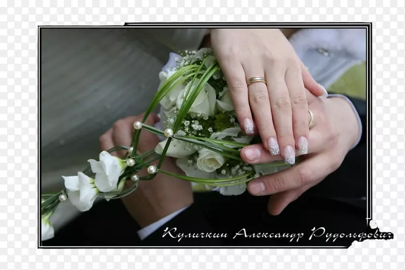 ��������в�ҩ��ָ���-������