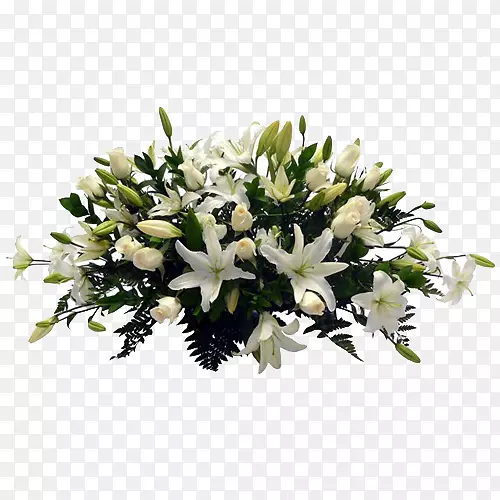 ������ƻ����л�����-������