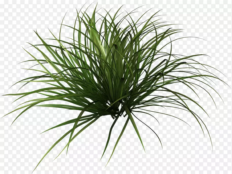 �����մ����߰�ɳ�ؼ������̲�-������