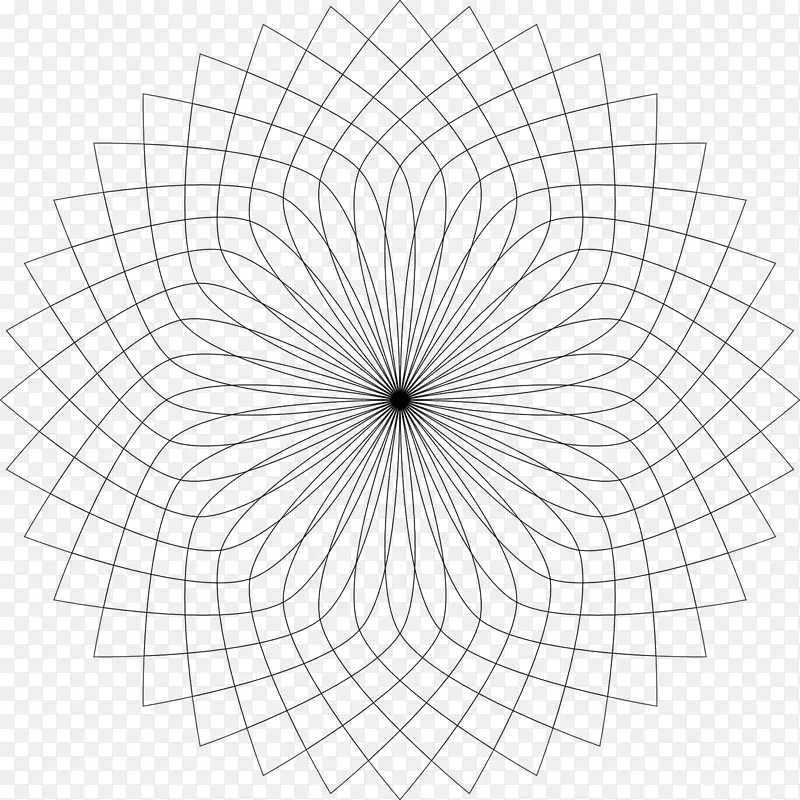 Բ��ǶԳ�Բ-������