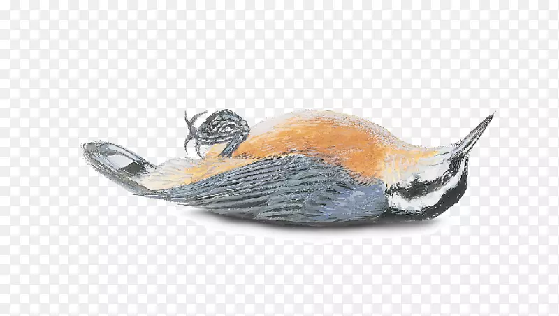 ���-���ײ���ѧԺ-������