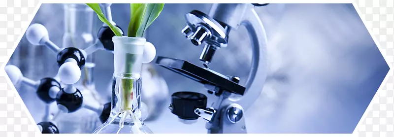 ����ɫ�ݴ�ѧ���³����ѧ.Σ�մ�����׼-������