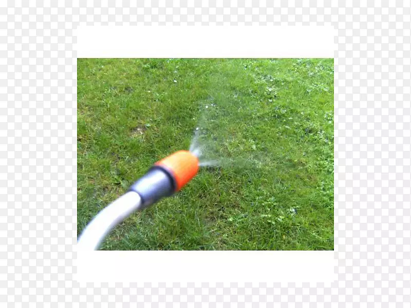 ��ƺ���ϲݿ�-Fein-������