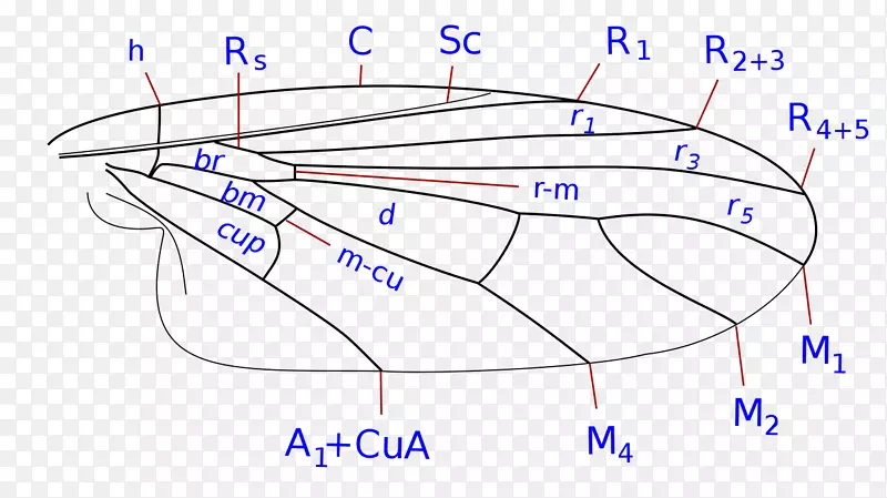 ͼֽ���-������