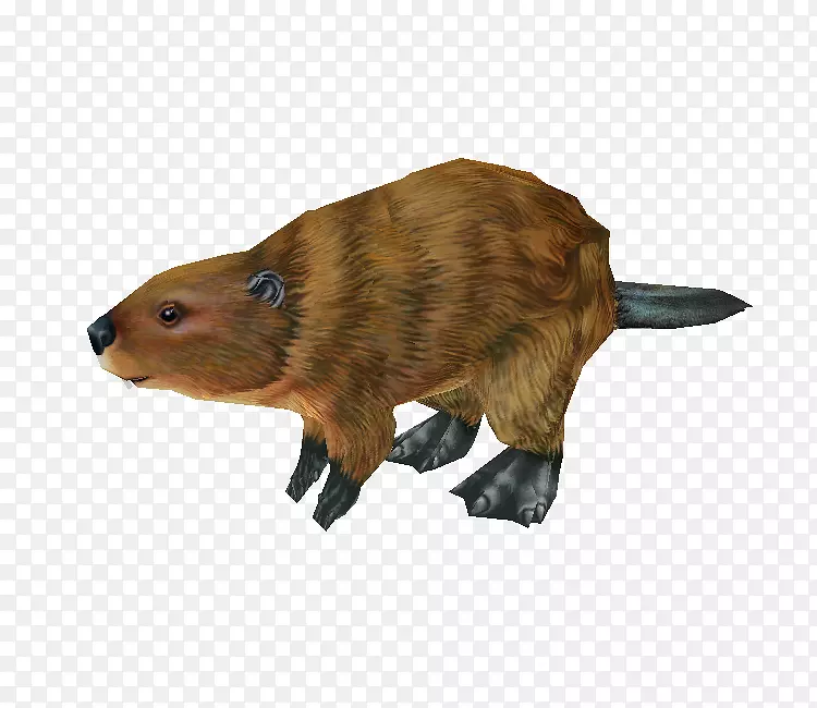 ���궯��ëƤ����-����԰���2-������