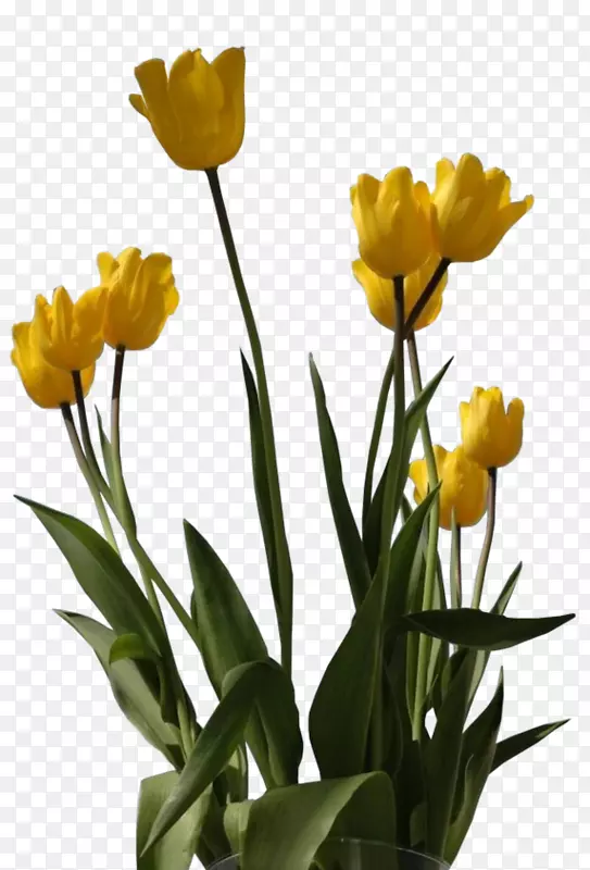 �������л�����������-������