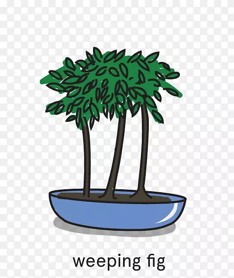 �������辰��-������