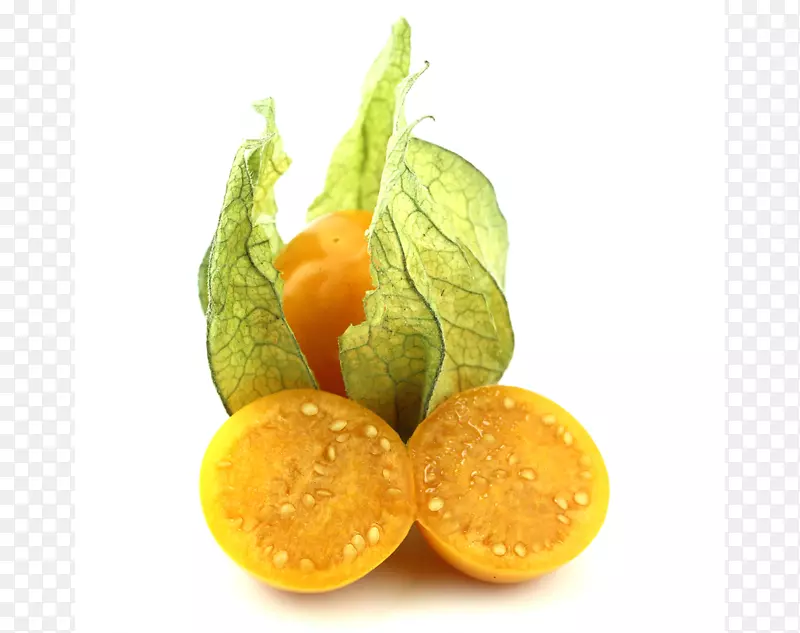 ��³��ӣ�Ҵ���ʳƷ����ֲ��-ֲ��-������