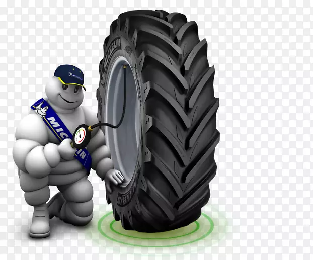 ��̥���������ֳ�-������