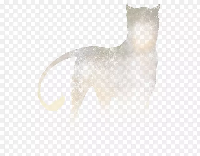 ���빷èë���ӹ�-������