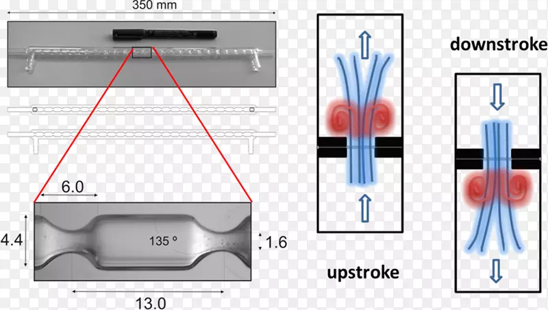 ���ϵ������-������