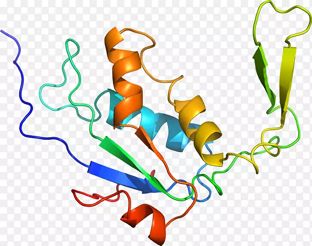 ������Ϊ�л����ߵ��������-������